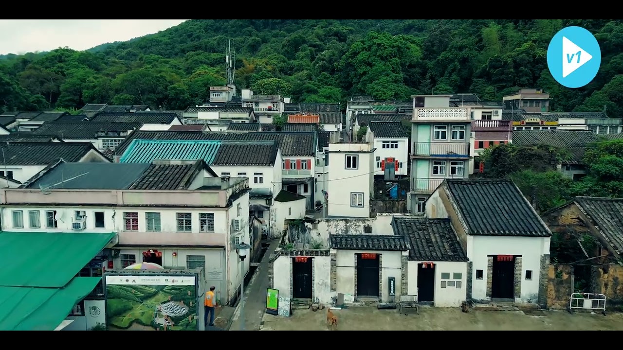 荔枝窩的回憶