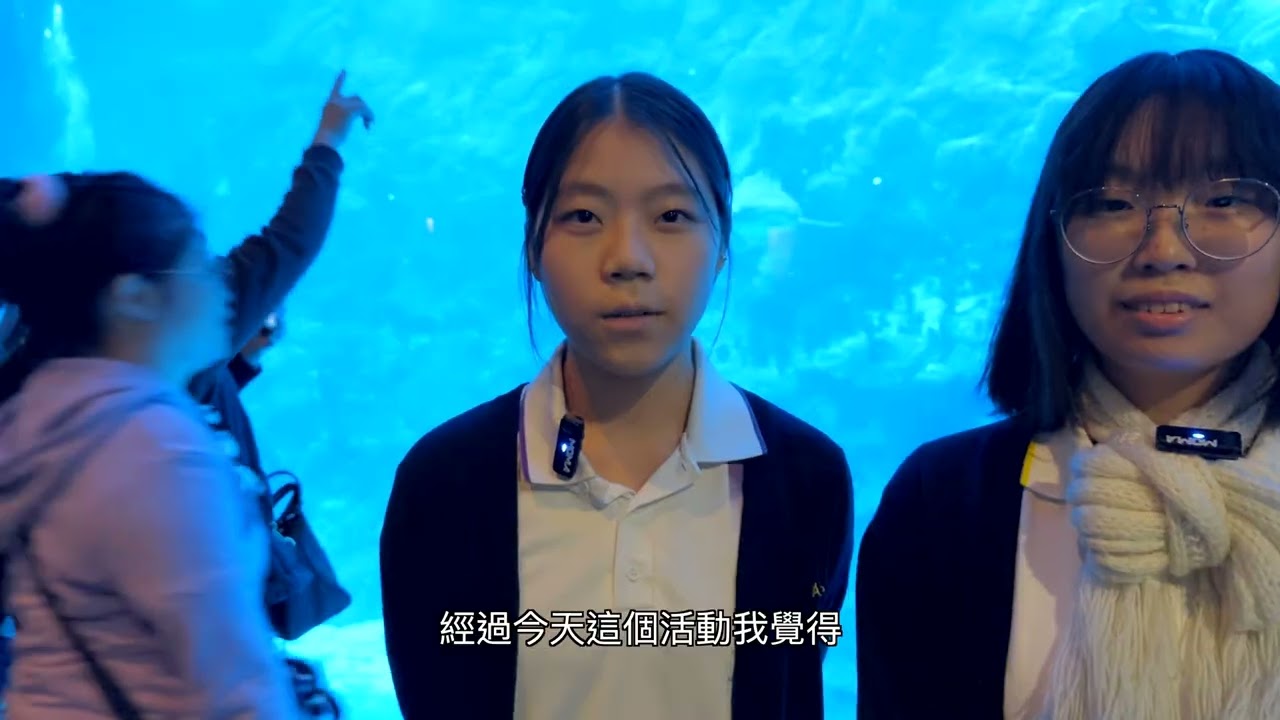 海龍行動