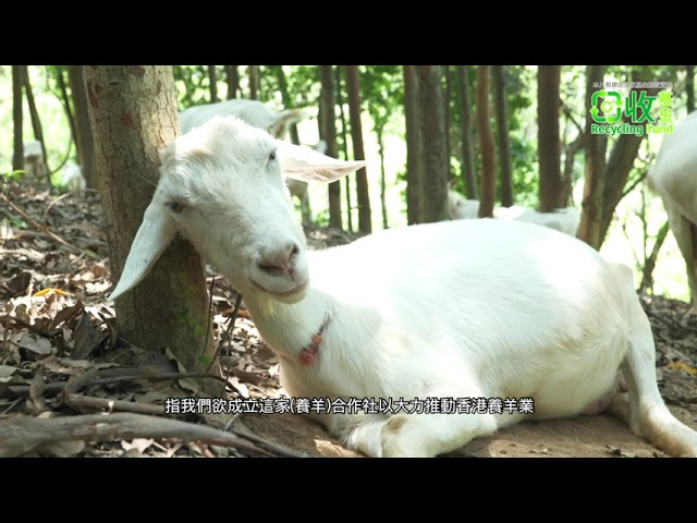 DOCUMENTARY VIDEO FOR PACKAGE F - Video Production