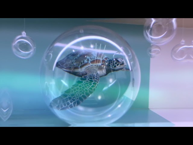 PROMOTION VIDEO FOR EVOLCARE PACKAGE E - Video Production