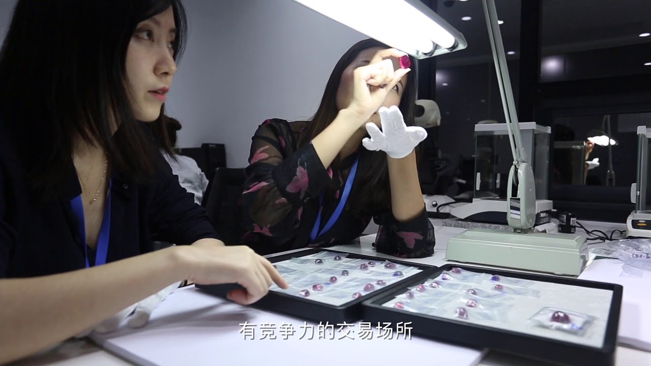 Corp Video for Package H - Video Production