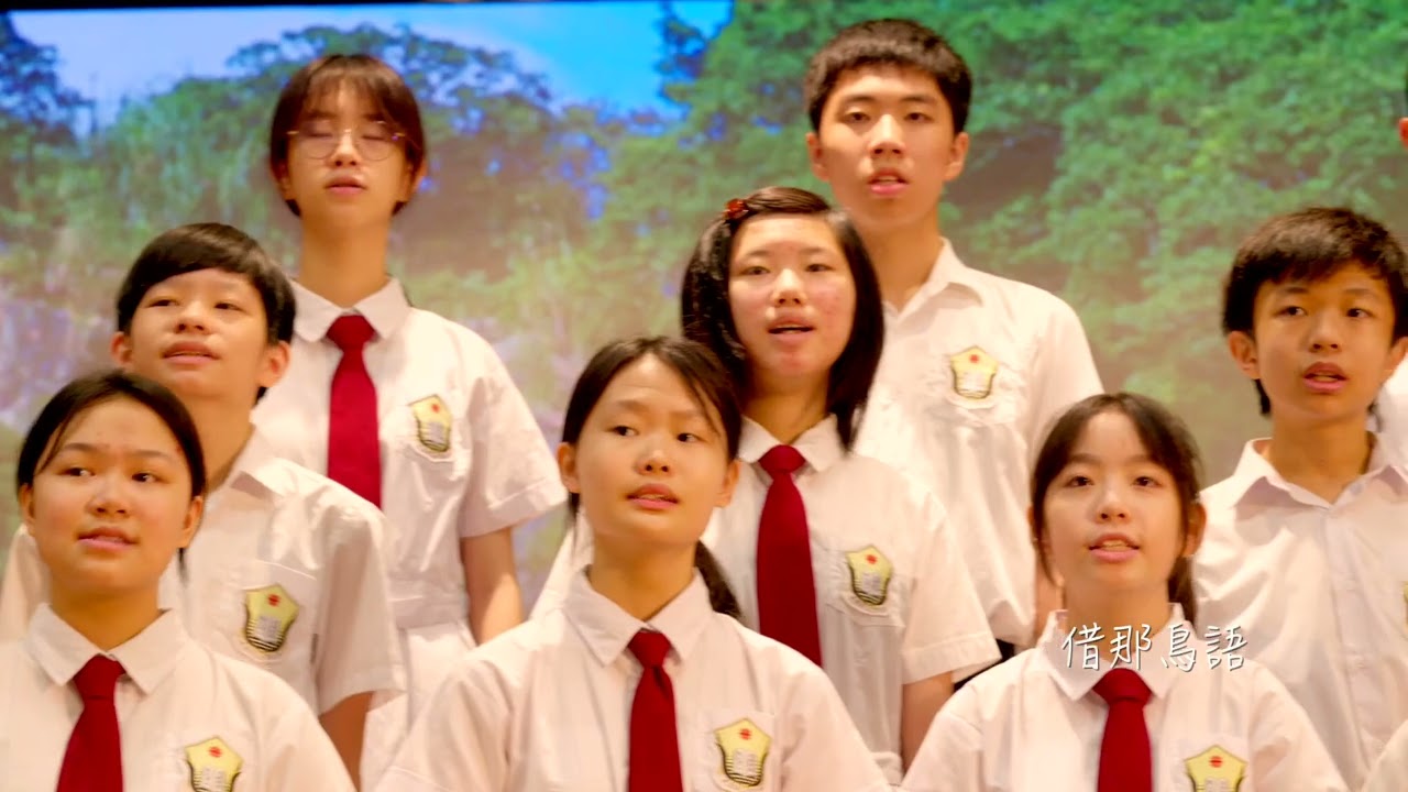 MUSICAL VIDEO FOR PACKAGE F - Video Production